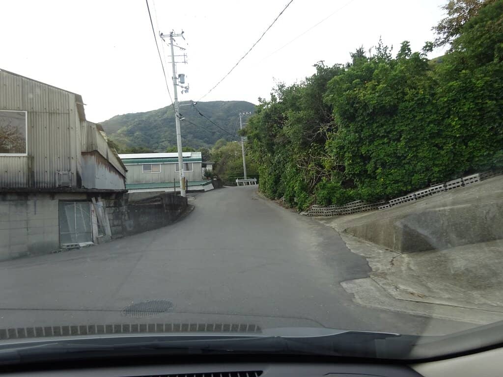 Asagimadara Butterflies