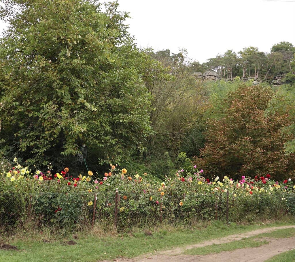 Václav Levý Loop Trail