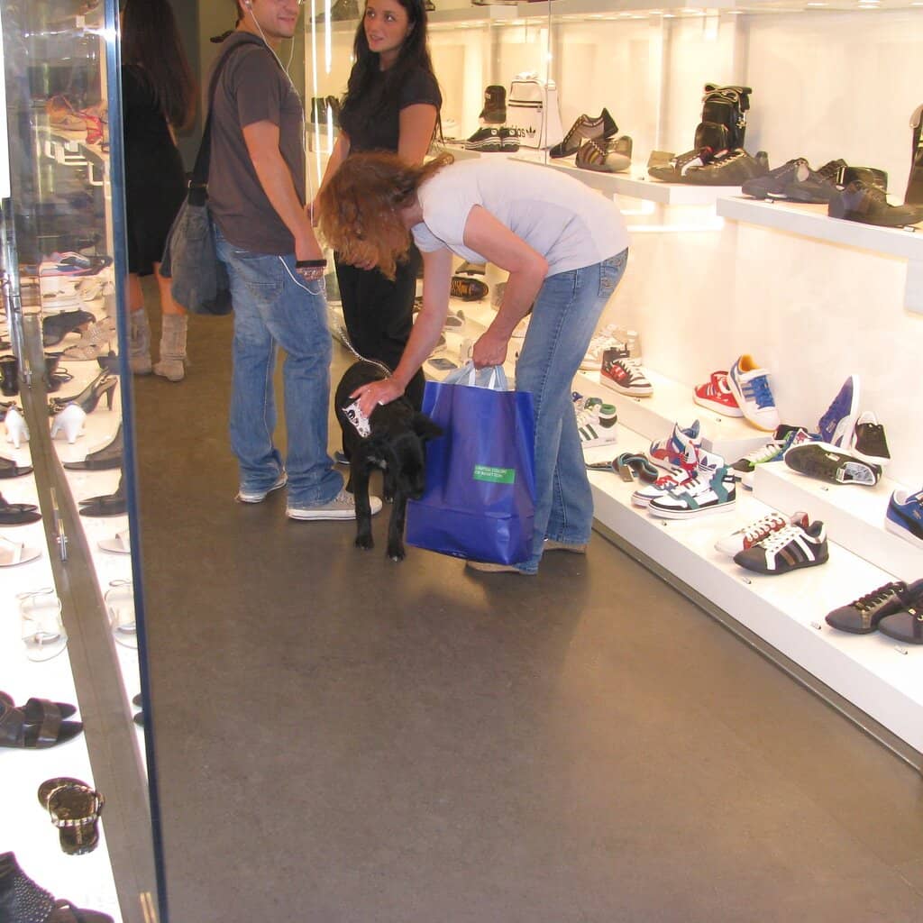 Street Food Adventures