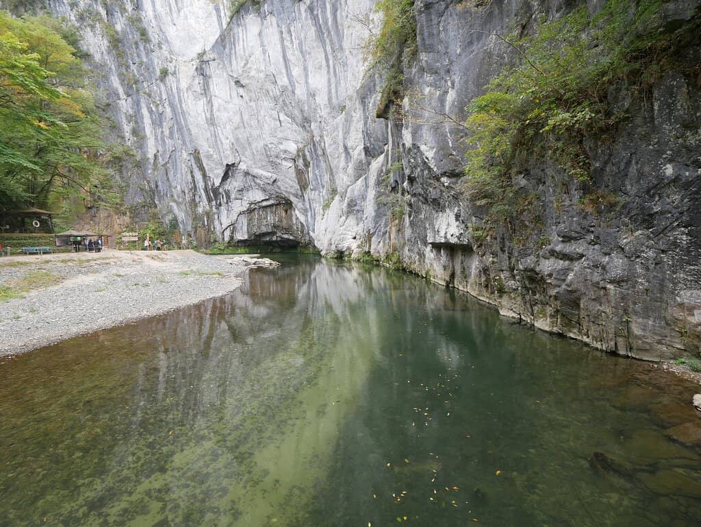 Feeding Ducks and Fish