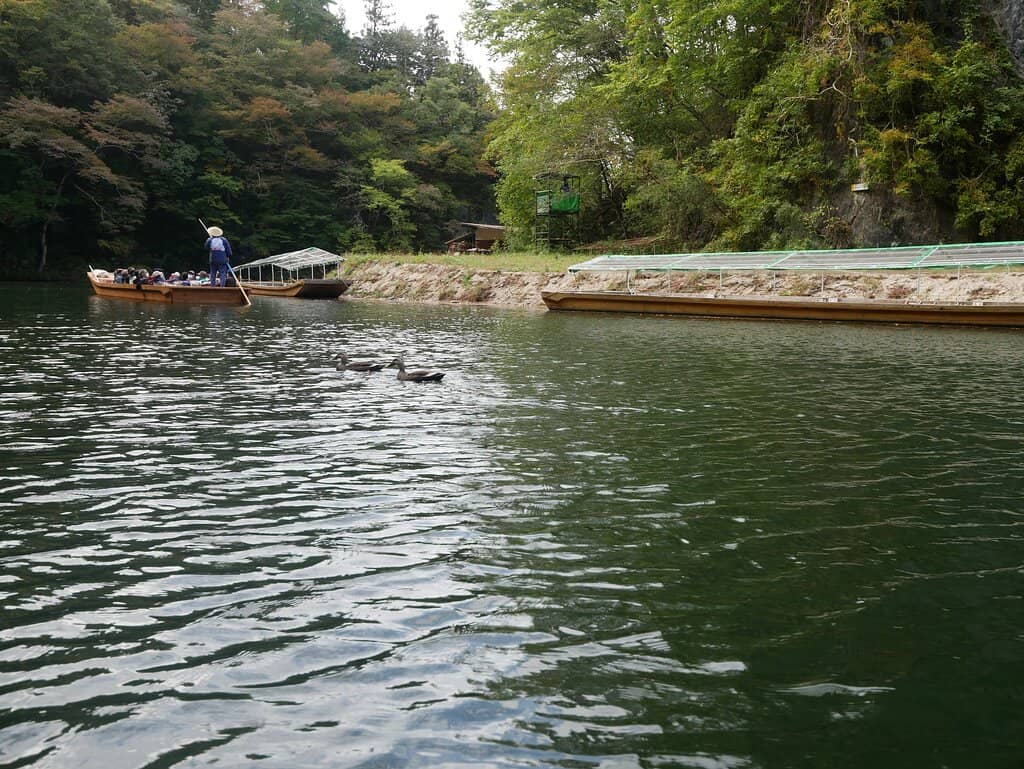 Dramatic Limestone Cliffs