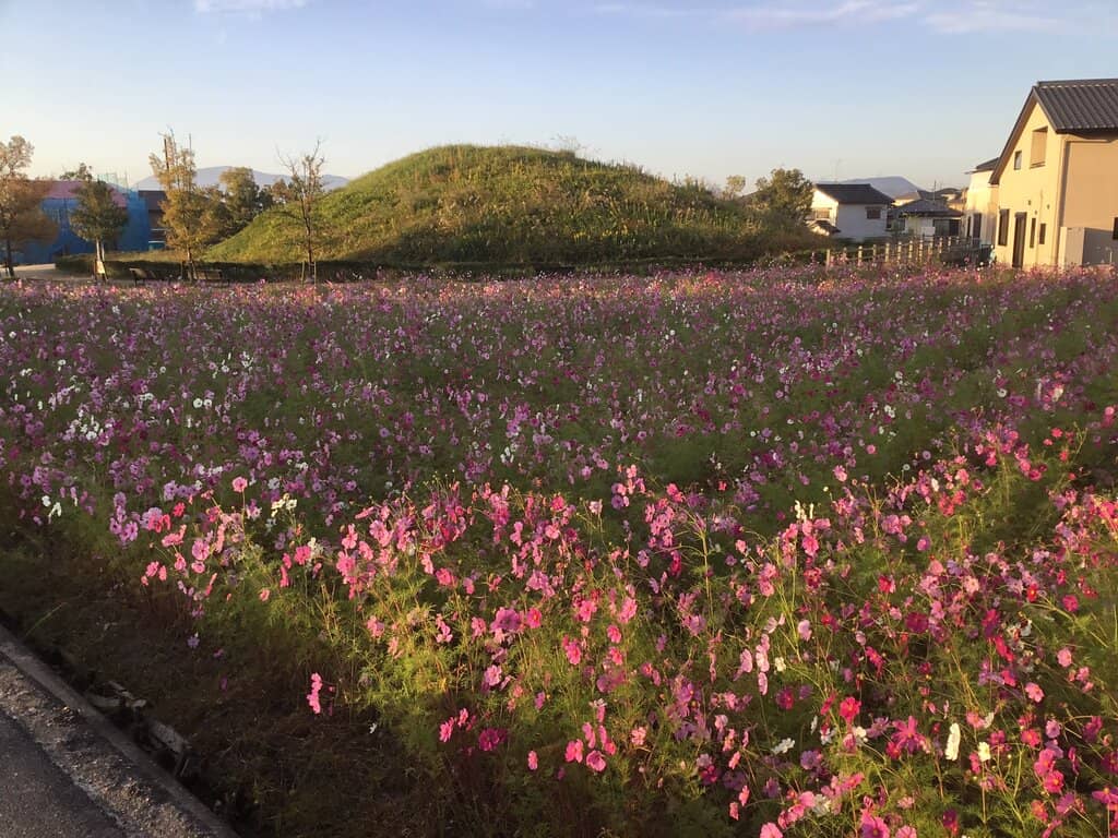 Grave Goods Replicas