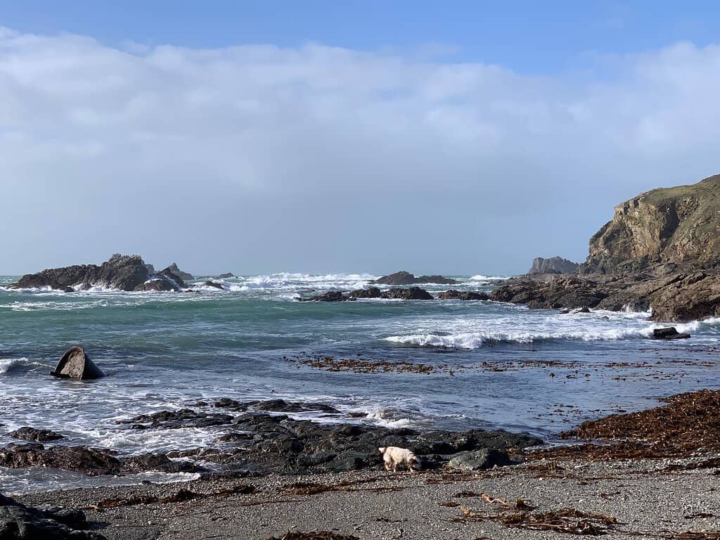 Rescue History Displays