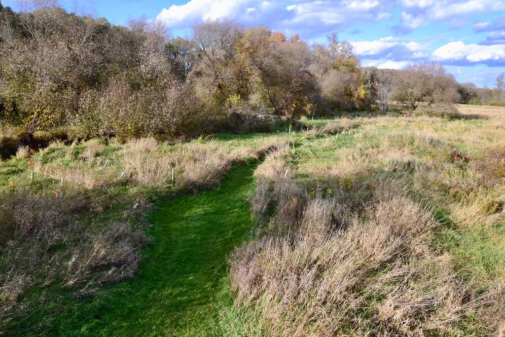 Peaceful Fishing Spot