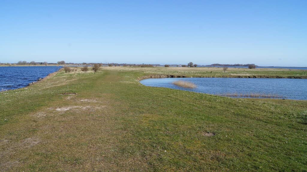 Art Installations & Sculptures