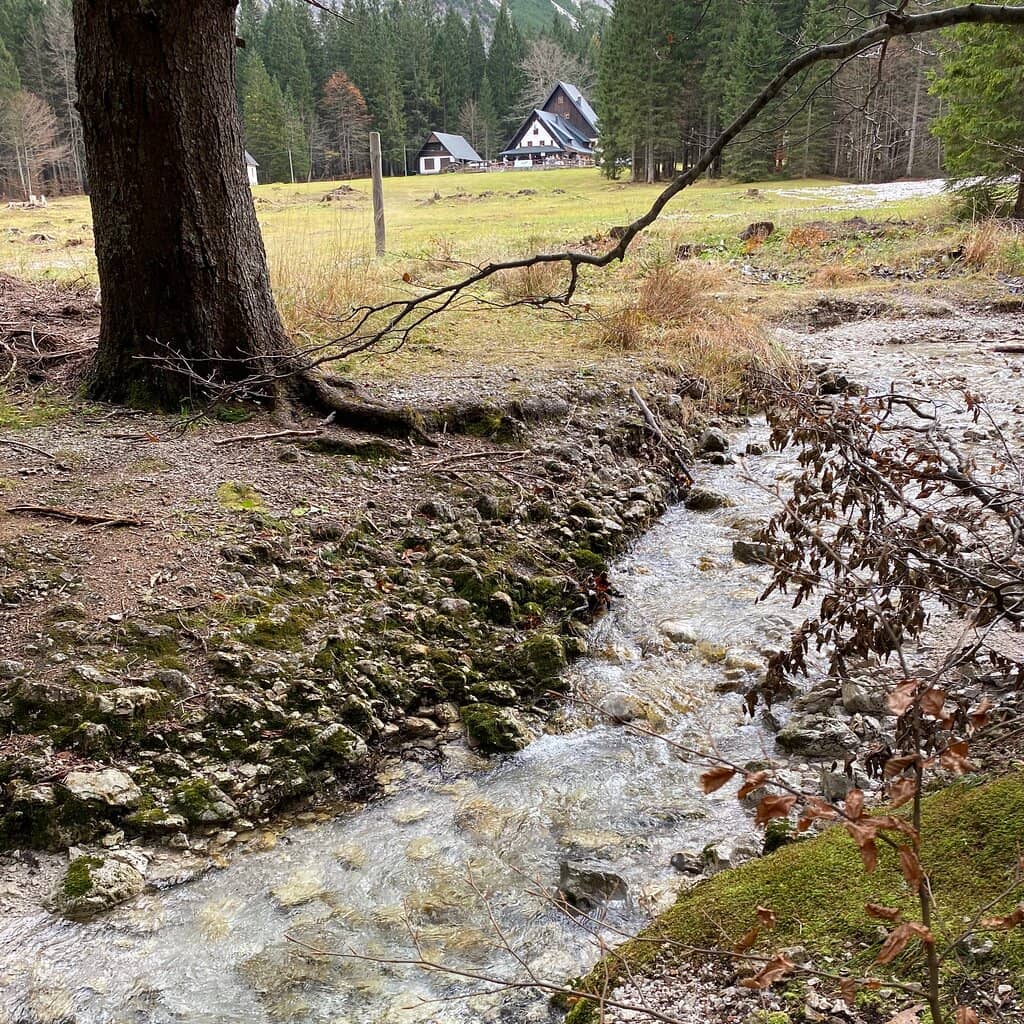 Scenic Walk to the Falls