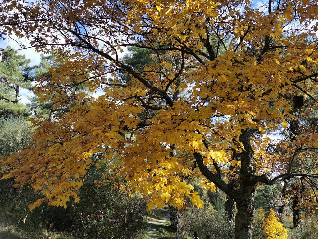 Interactive Workshops