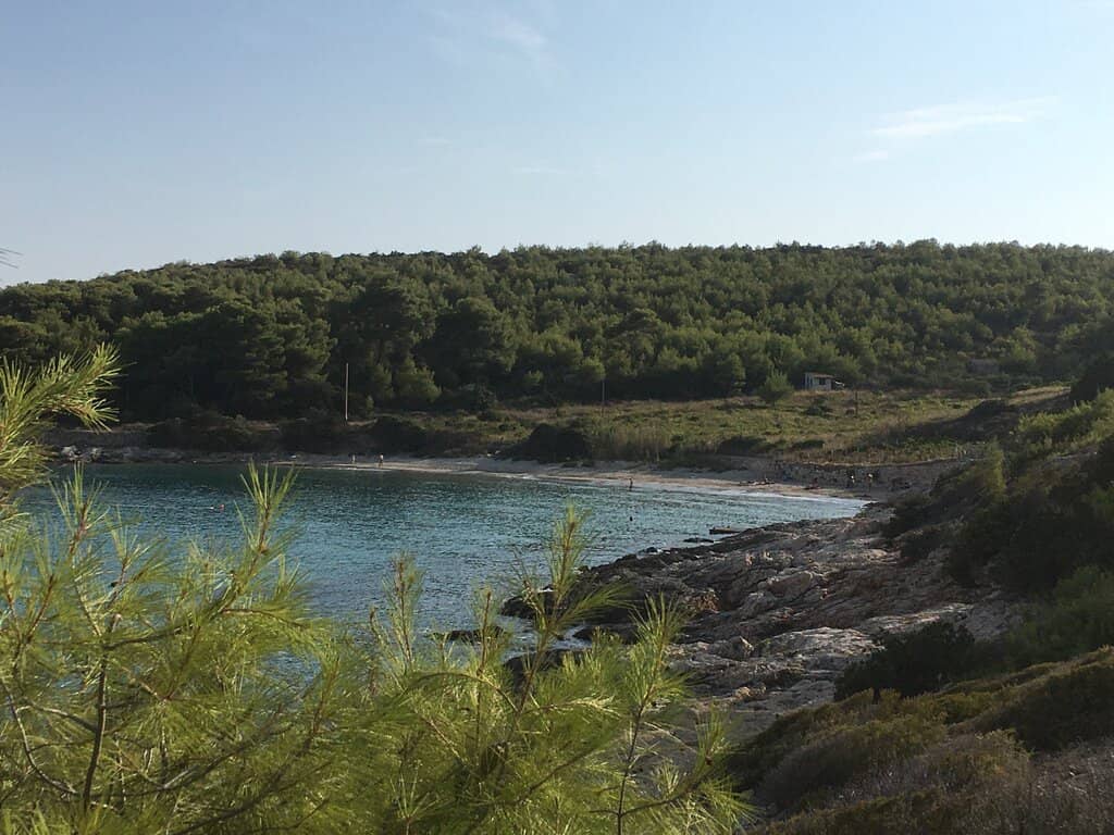 Beachfront Cafe/Buffet