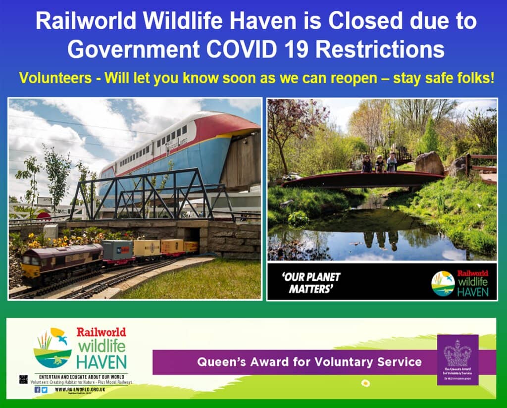 Mainline Train Spotting