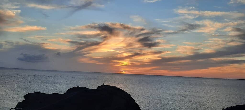 Fresh Seafood Delicacies