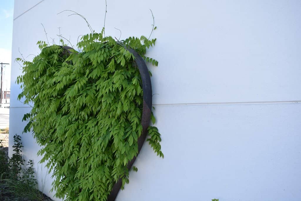 Waterfront Views & Activities