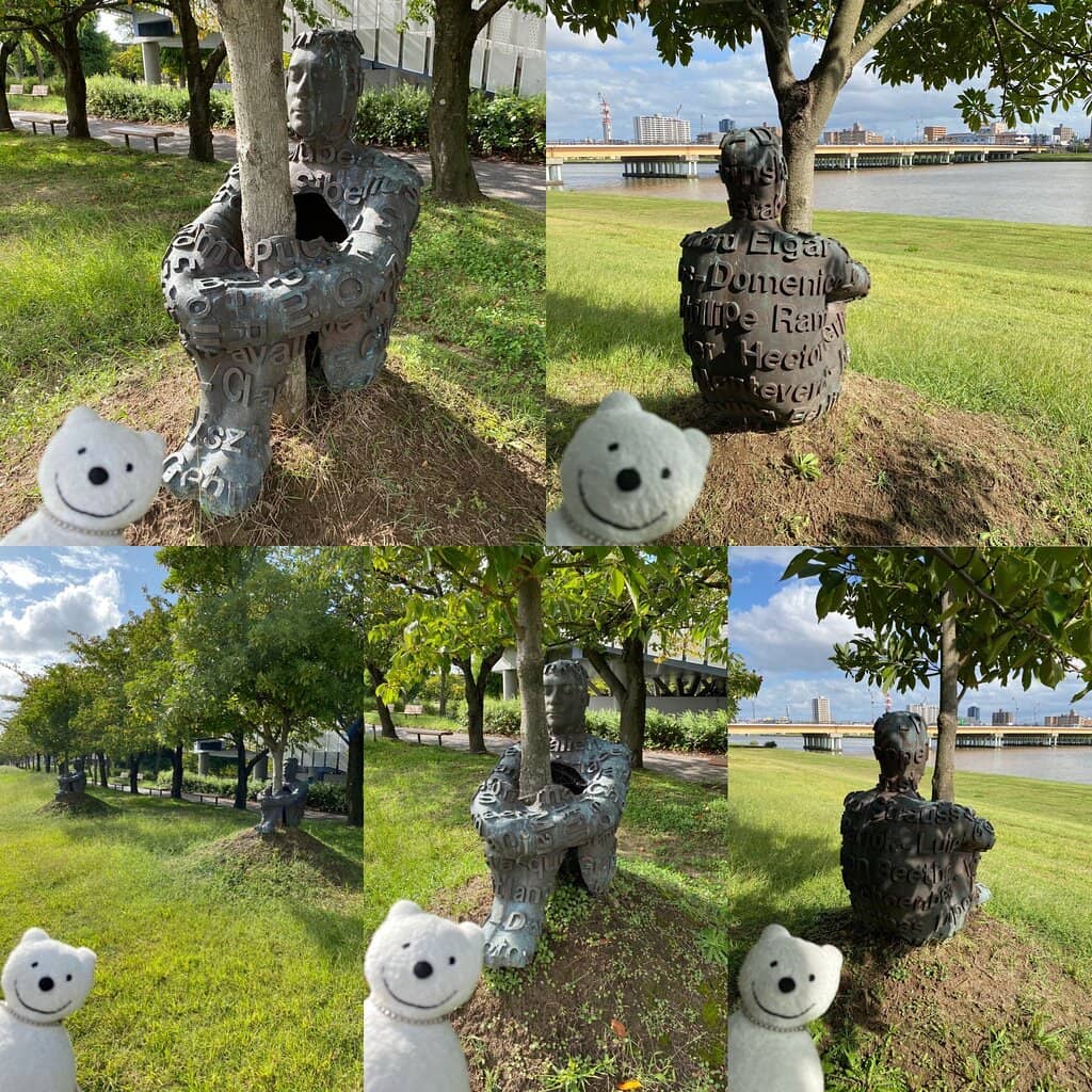 Spring Cherry Blossoms