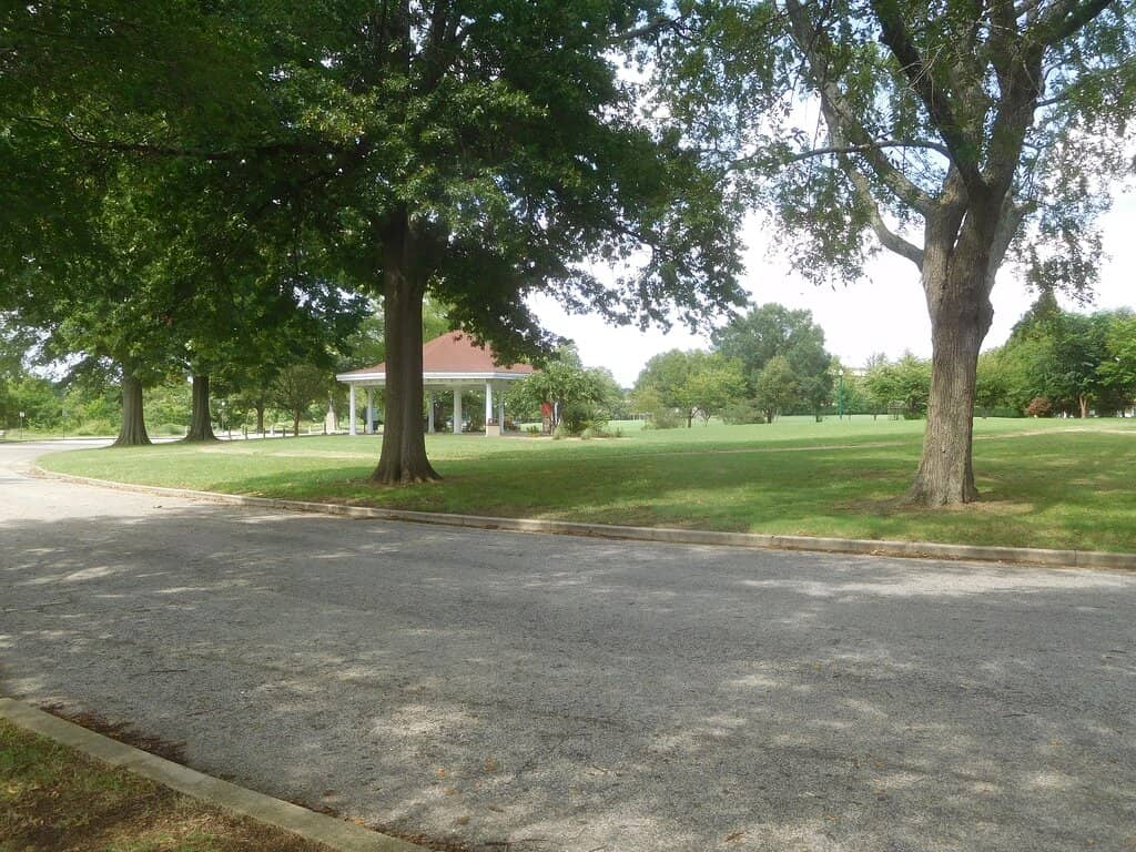 Panoramic City Views