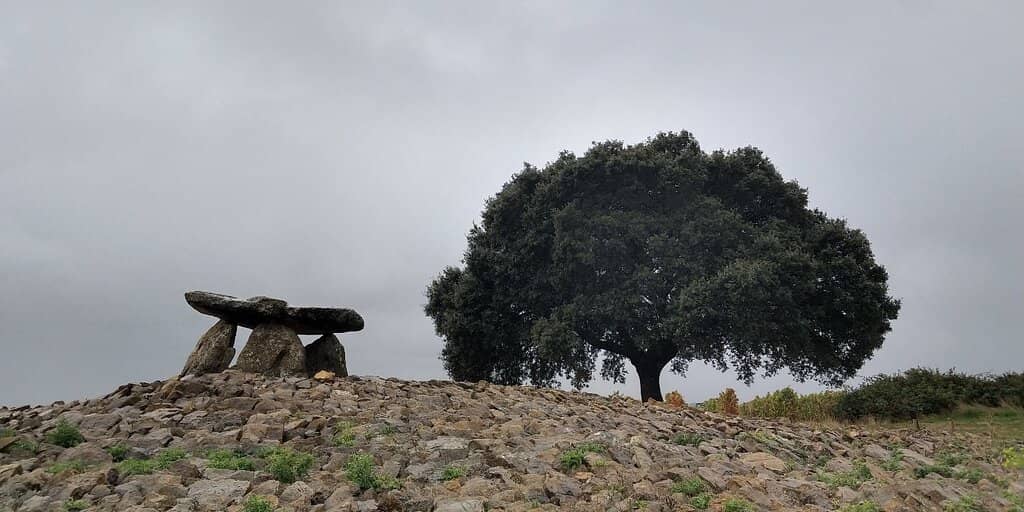 Magical Sunrise/Sunset