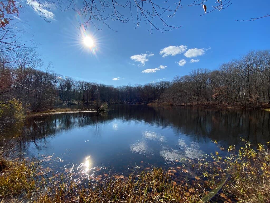 Historic Studios & Gardens