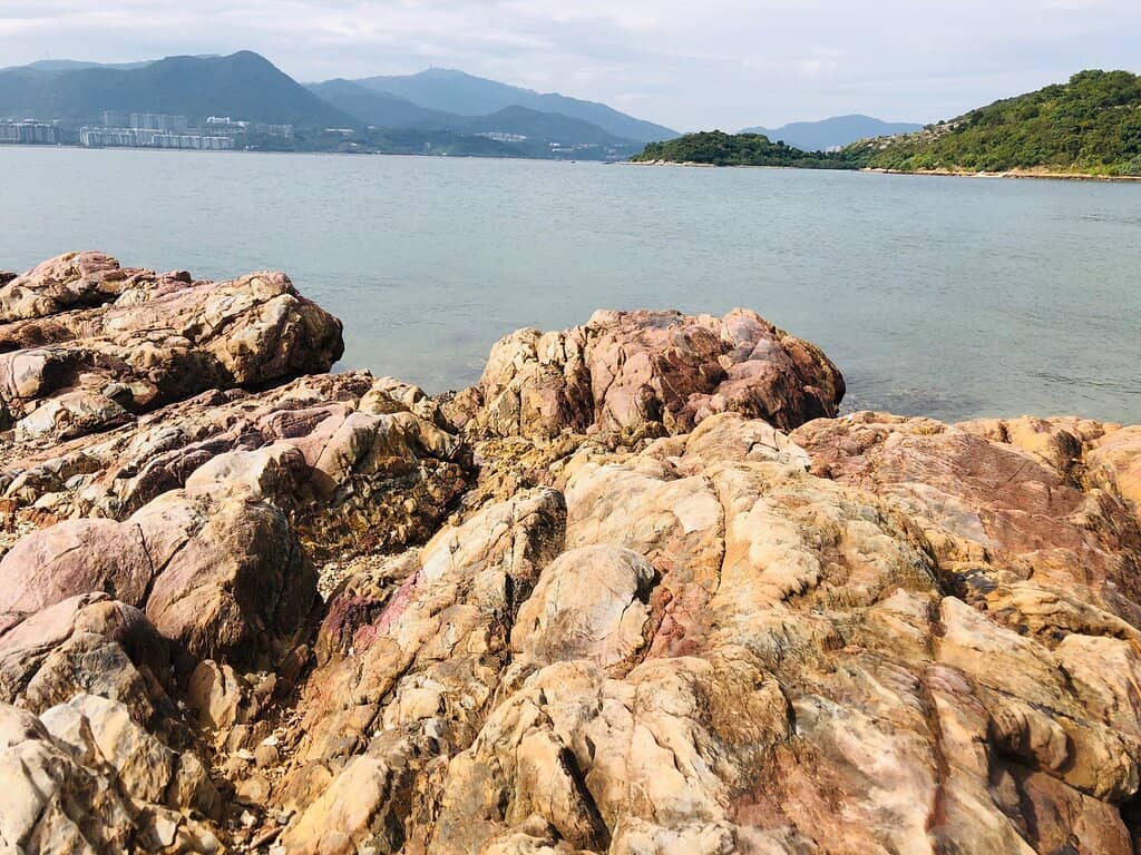 Intertidal Zone Wonders