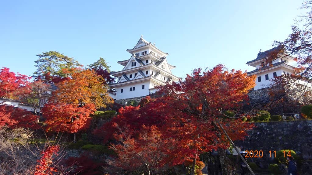 Gujo Hachiman Castle