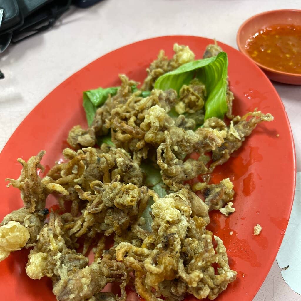 Family-Friendly Atmosphere