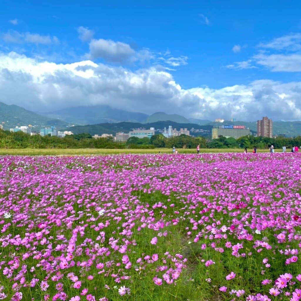 Visitor Center Observation Deck