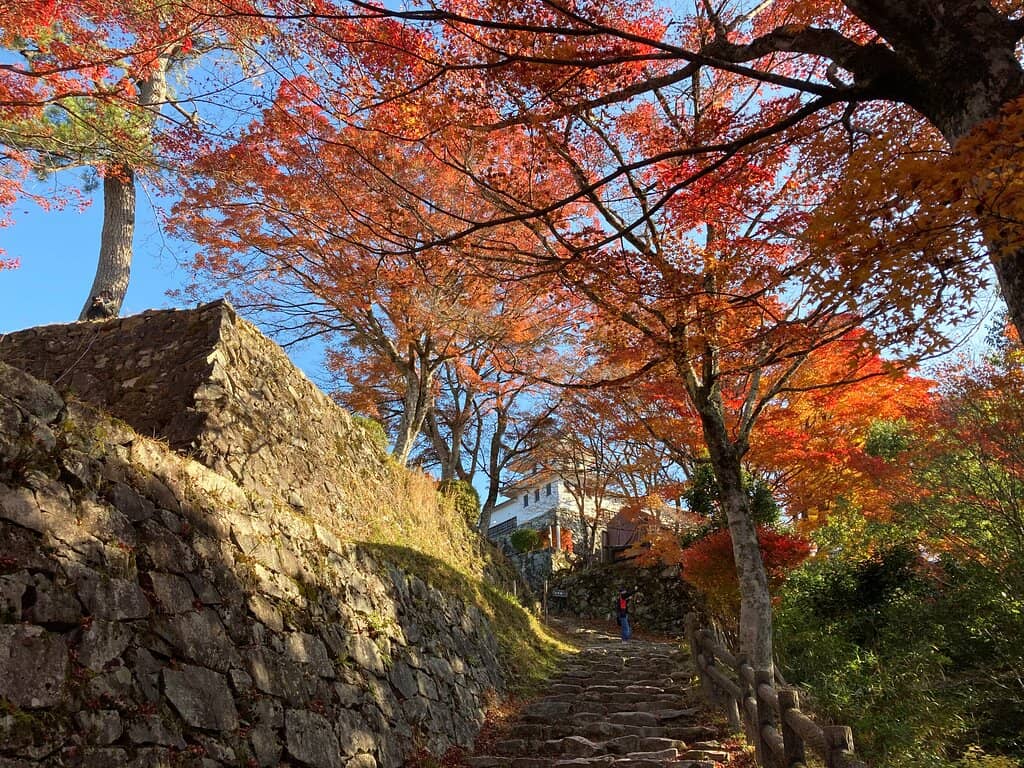 Watanabe Indigo Dyehouse