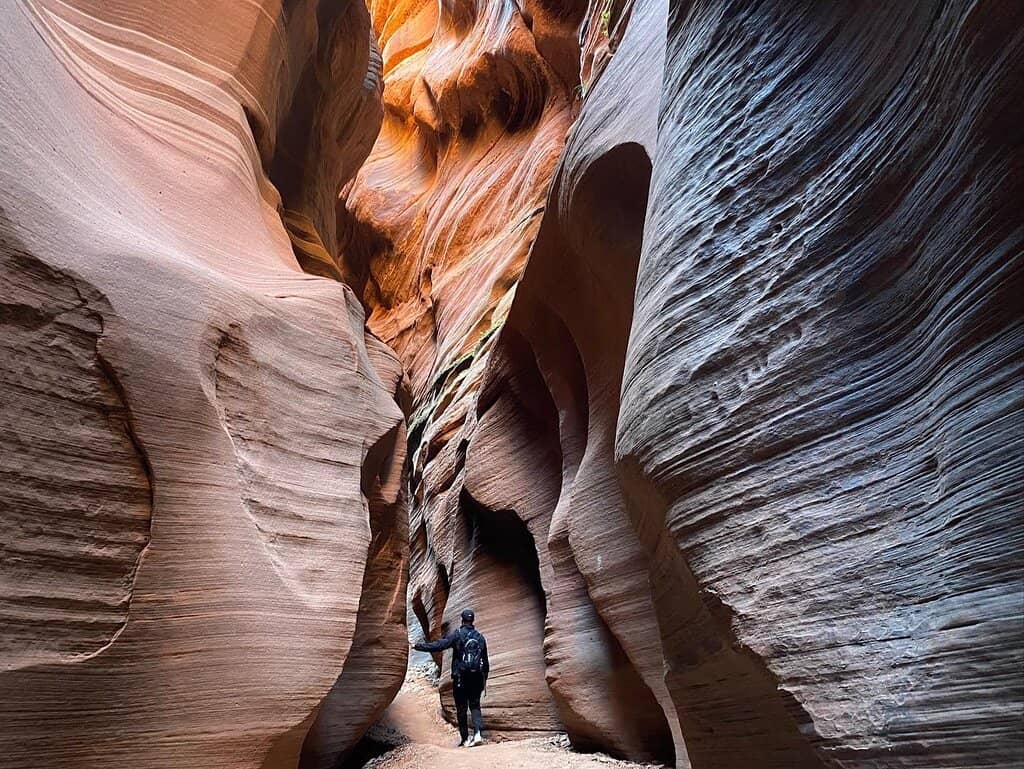 Vertical photo