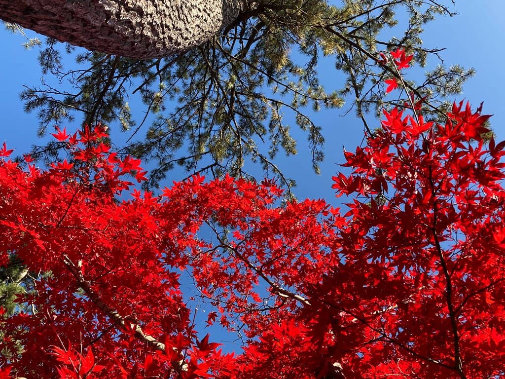 Historic Waterways & Canals