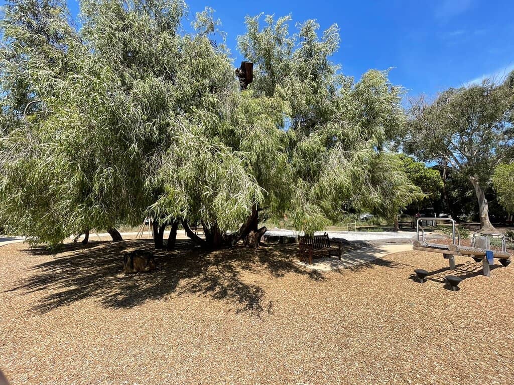 Children's Playground