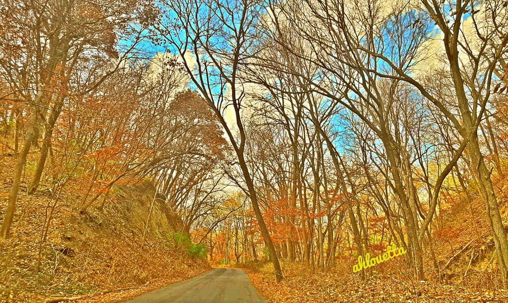Vertical photo