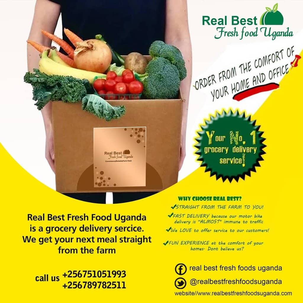 Street Food Delights