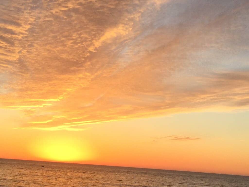 Rockhounding Treasures