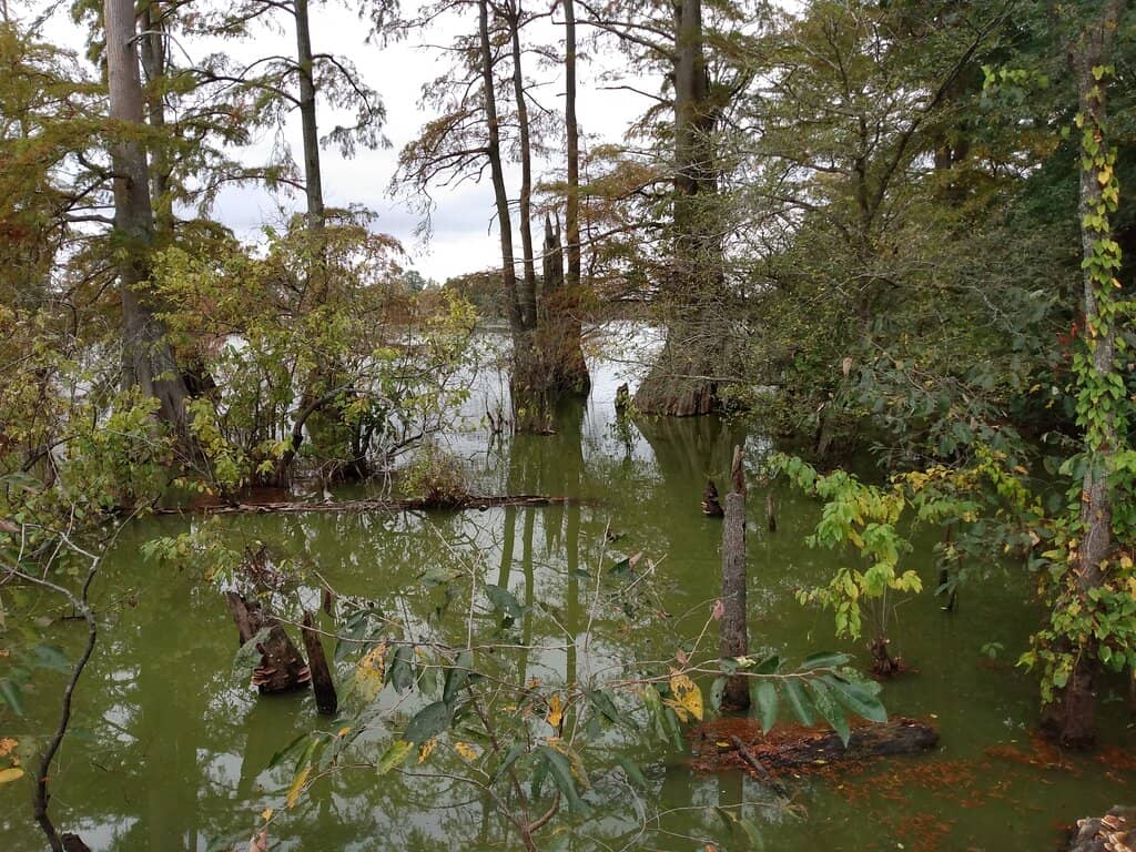 Paved Walking Trails