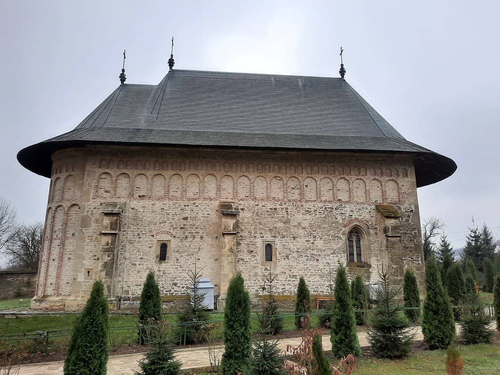 Serene Natural Surroundings