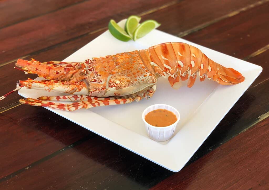 Jumbo Platter
