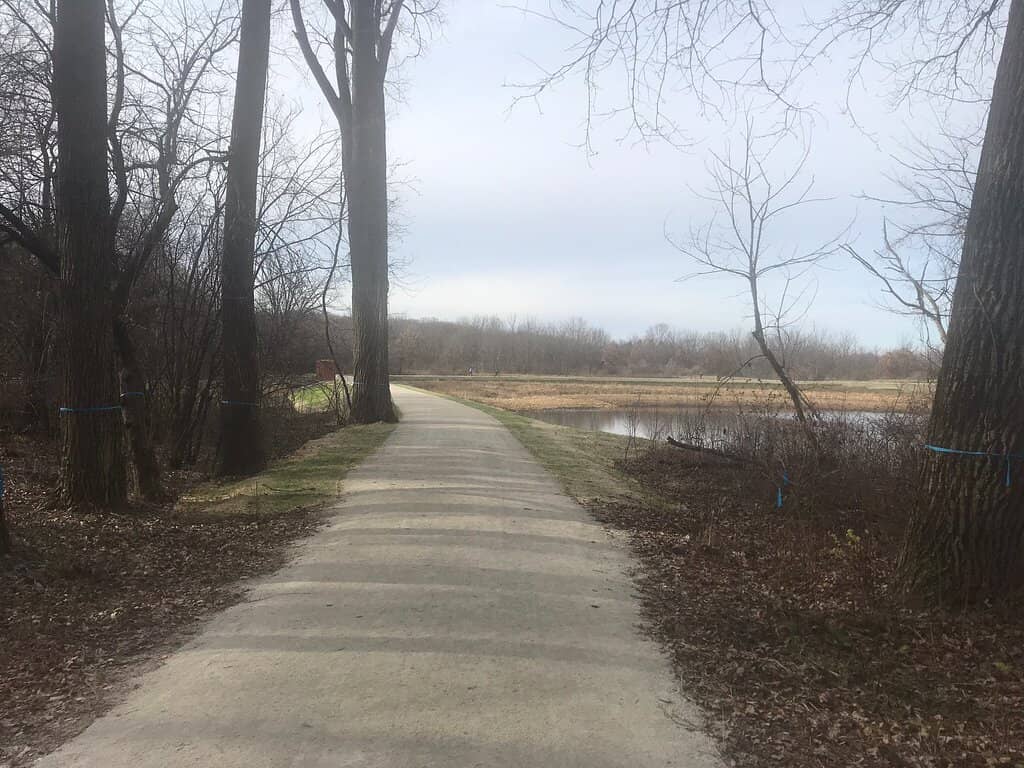 Spring Brook Creek Restoration
