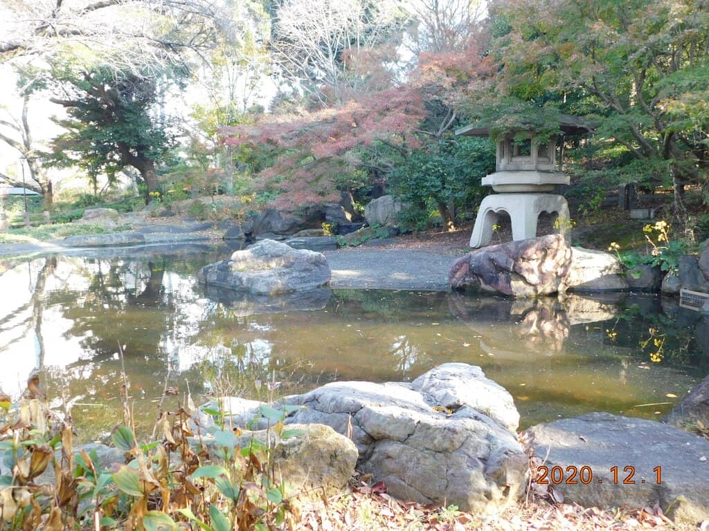 Panoramic Yokohama Views