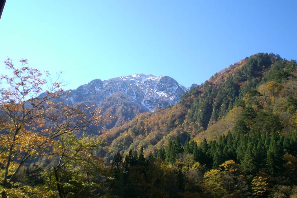 Vertical photo