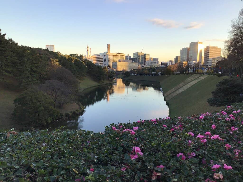 Hie Shrine's Torii Gates