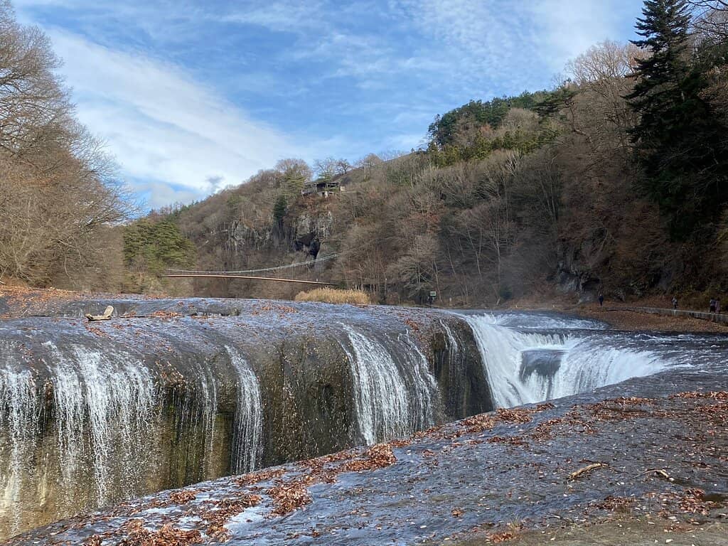 Autumn Foliage Spectacle