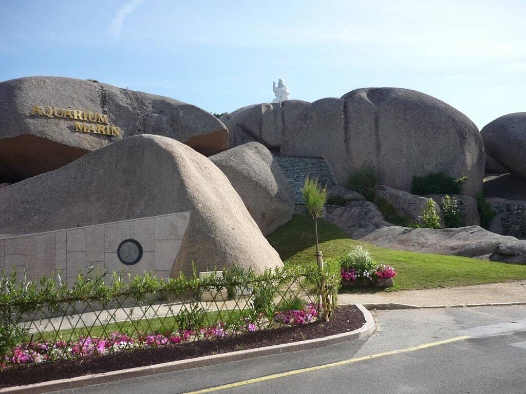 Local Marine Species