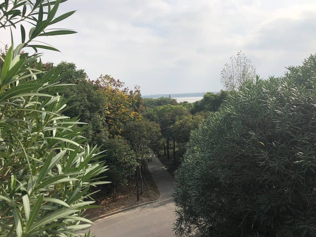 Yangtze River Estuary Views