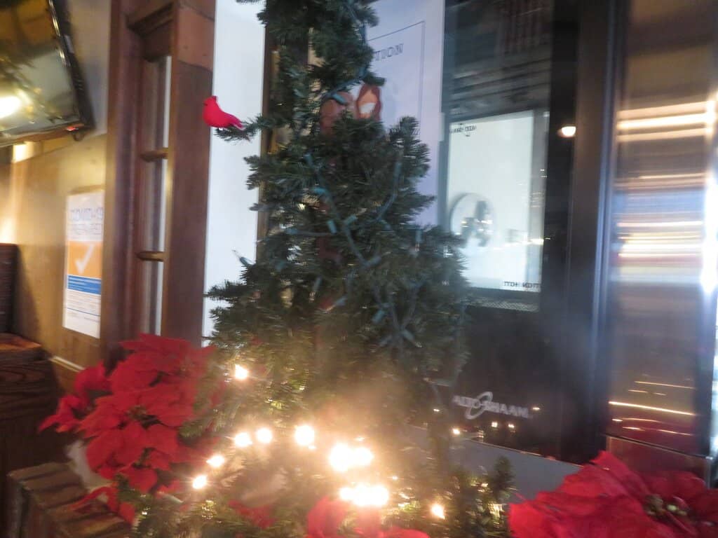 Rustic Gastube & Beer Garden