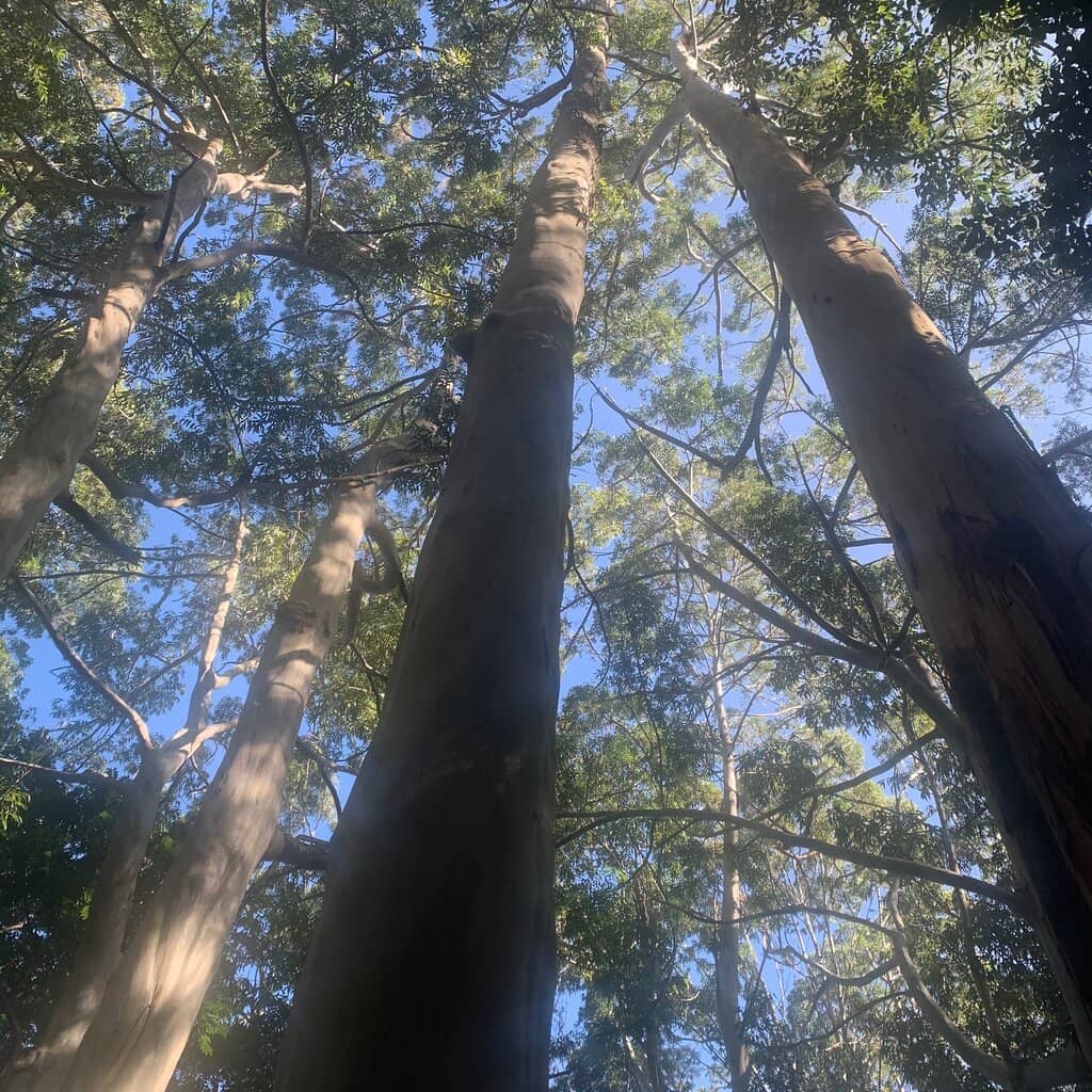 Mountain Biking Paradise