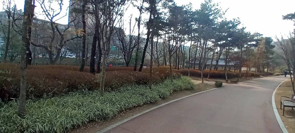 Peaceful Green Escape