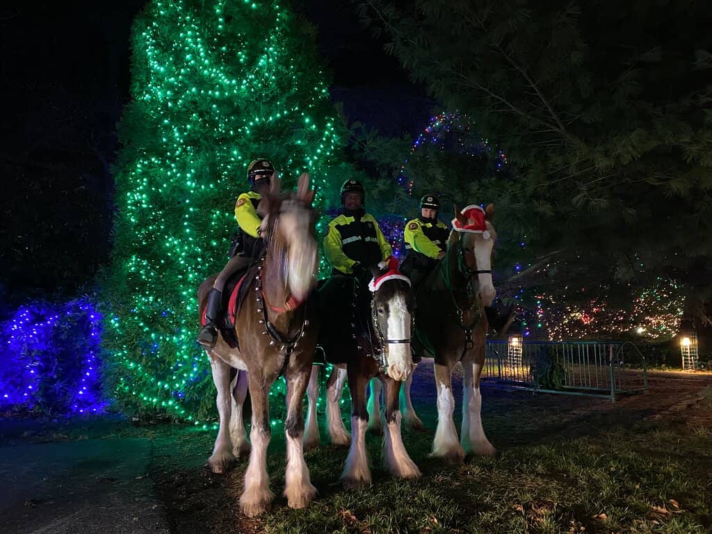 Latino Farmers Market