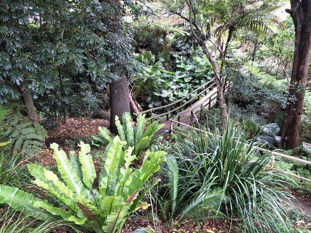 Secluded Tiny Beaches