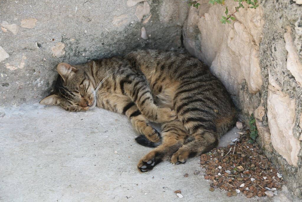 Interactive Learning Experience