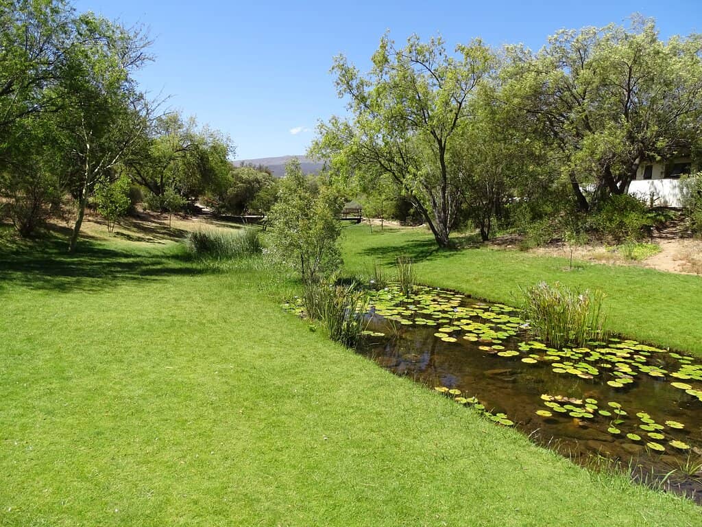 Local Flora Showcase