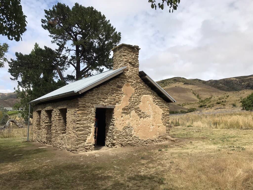 Blooming Spring Flowers