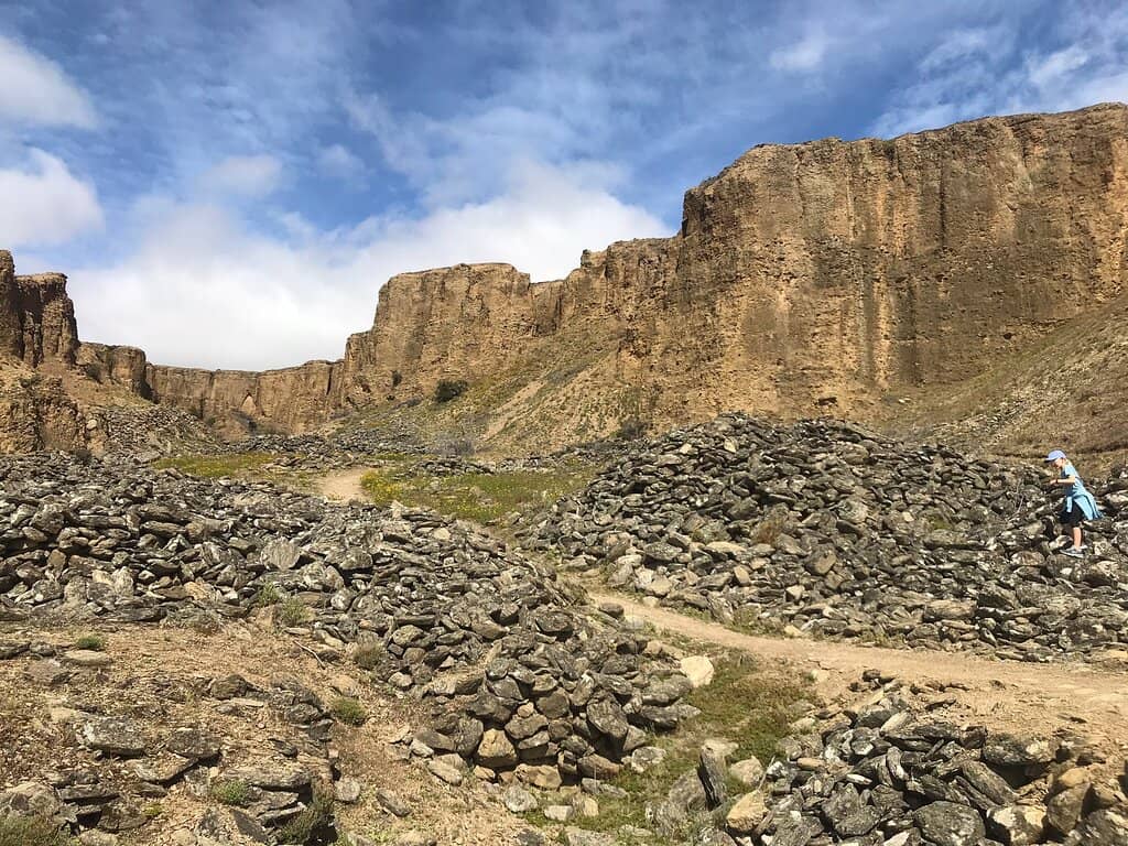 Panoramic Vineyard Views