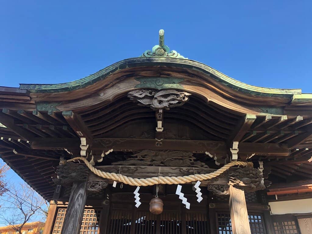 Sakura and Shaded Areas